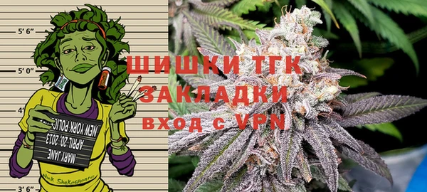 стаф Коряжма