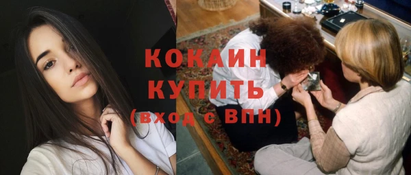 стафф Корсаков