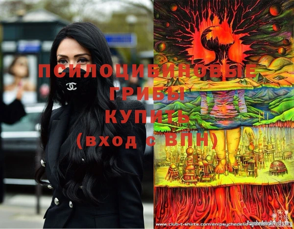 a pvp Балахна